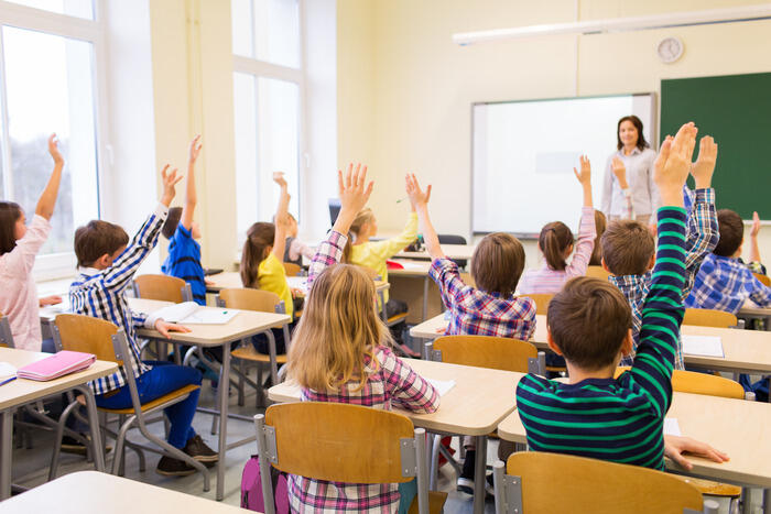 Schulklasse von hinten, Kinder zeigen auf